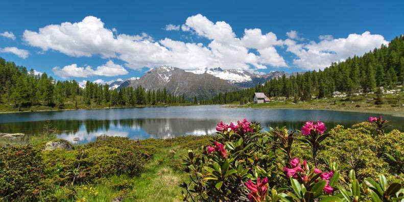 Olympic Regina Hotel Pinzolo Luaran gambar